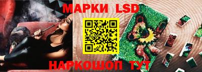 гидра Рязань