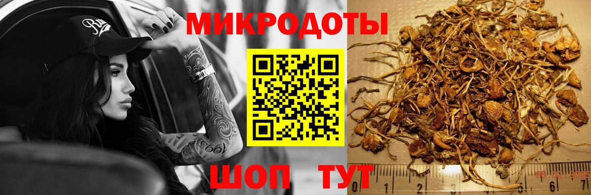 Псилоцибиновые грибы GOLDEN TEACHER  Вход с VPN  Пугачёв 
